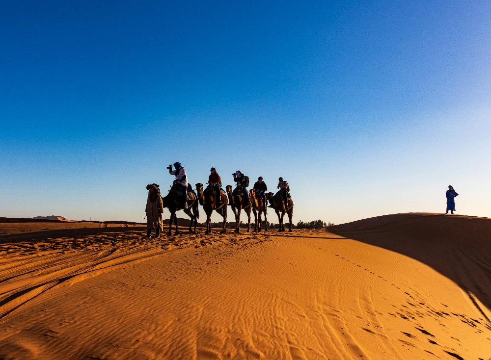 desert safari